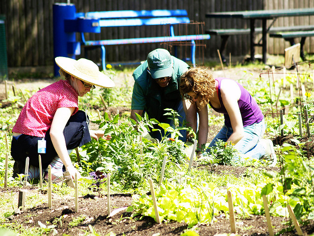 Horticultural Society