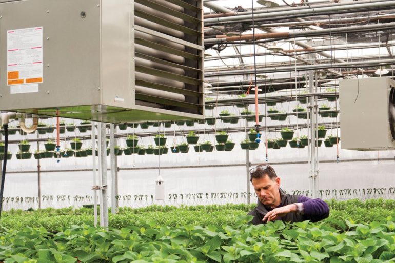 Greenhouse Heaters Keeping Your Plants Warm YearRound