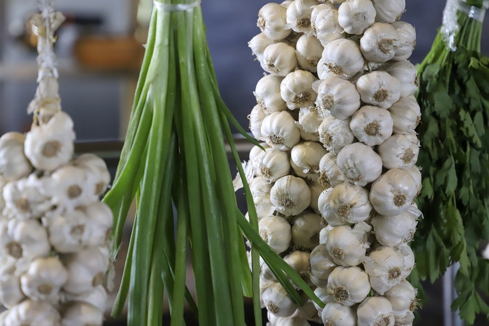 Garlic